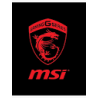 msi